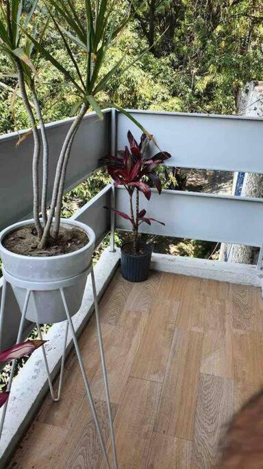 Cozy Apartment In Condesa'S Heart ! Meksyk Zewnętrze zdjęcie